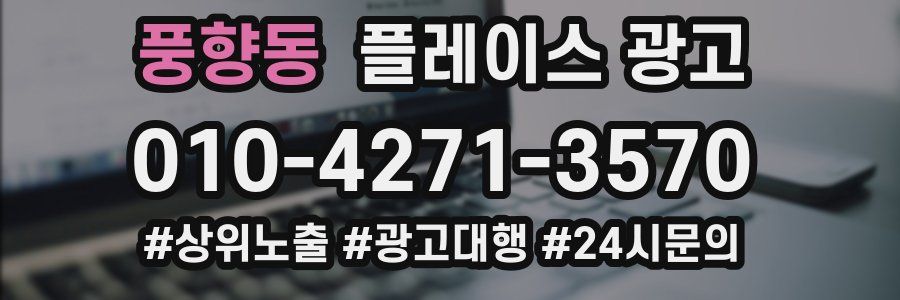 풍향동 플레이스 광고