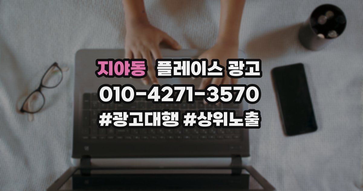 지야동 플레이스 광고