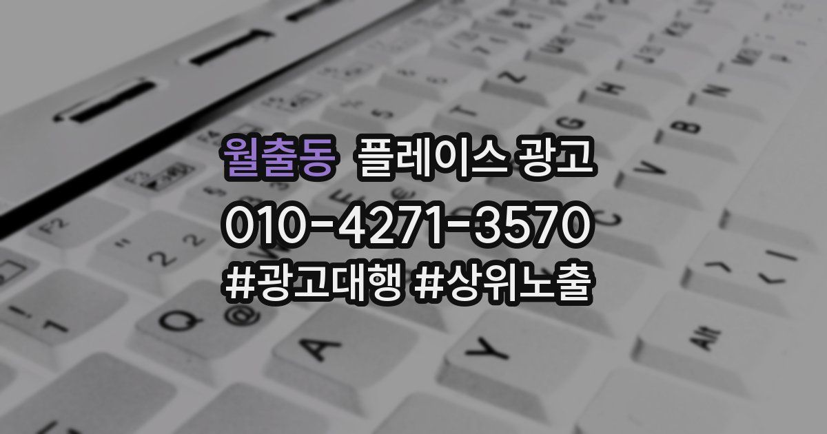 월출동 플레이스 광고
