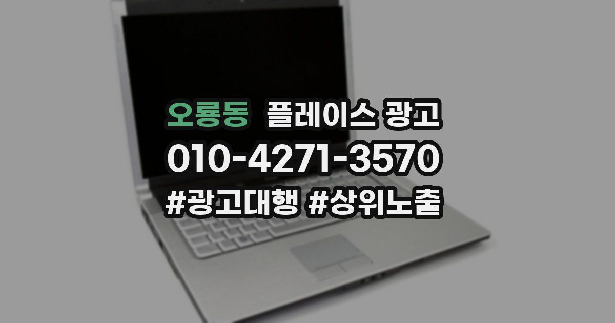 오룡동 플레이스 광고