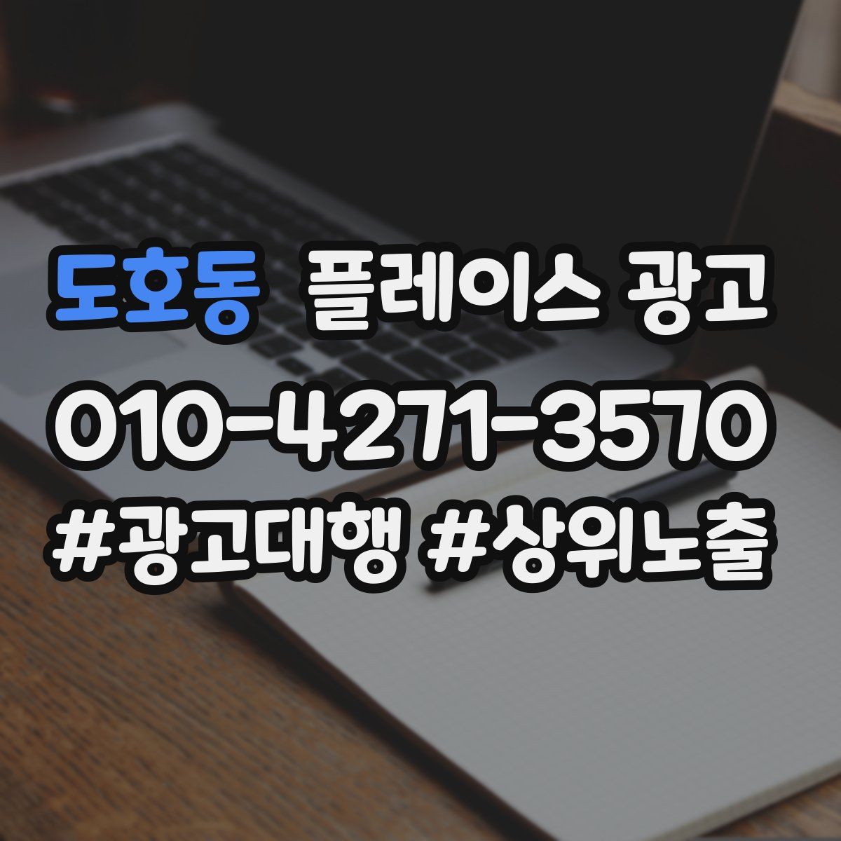 도호동 플레이스 광고