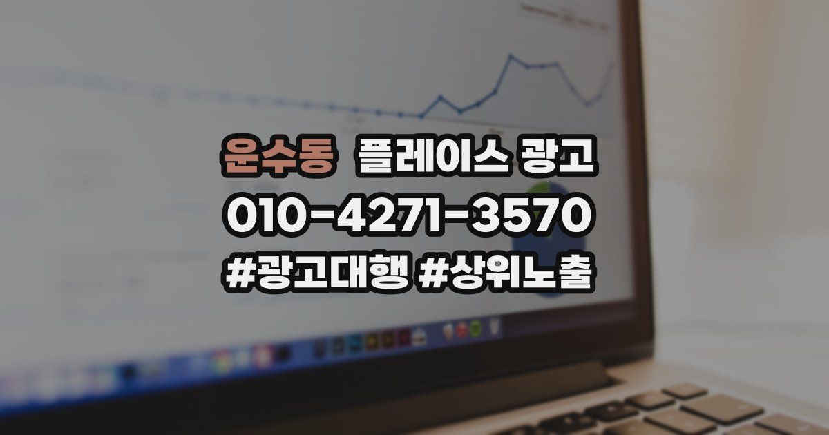 운수동 플레이스 광고