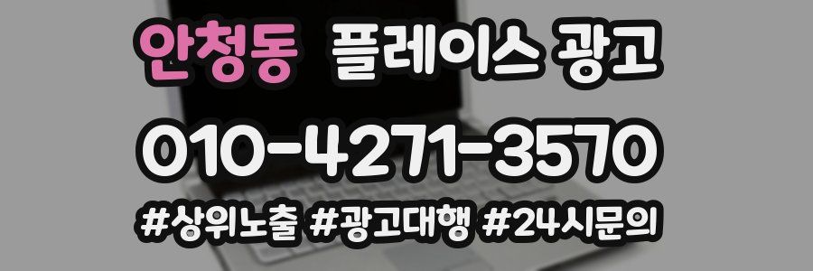 안청동 플레이스 광고