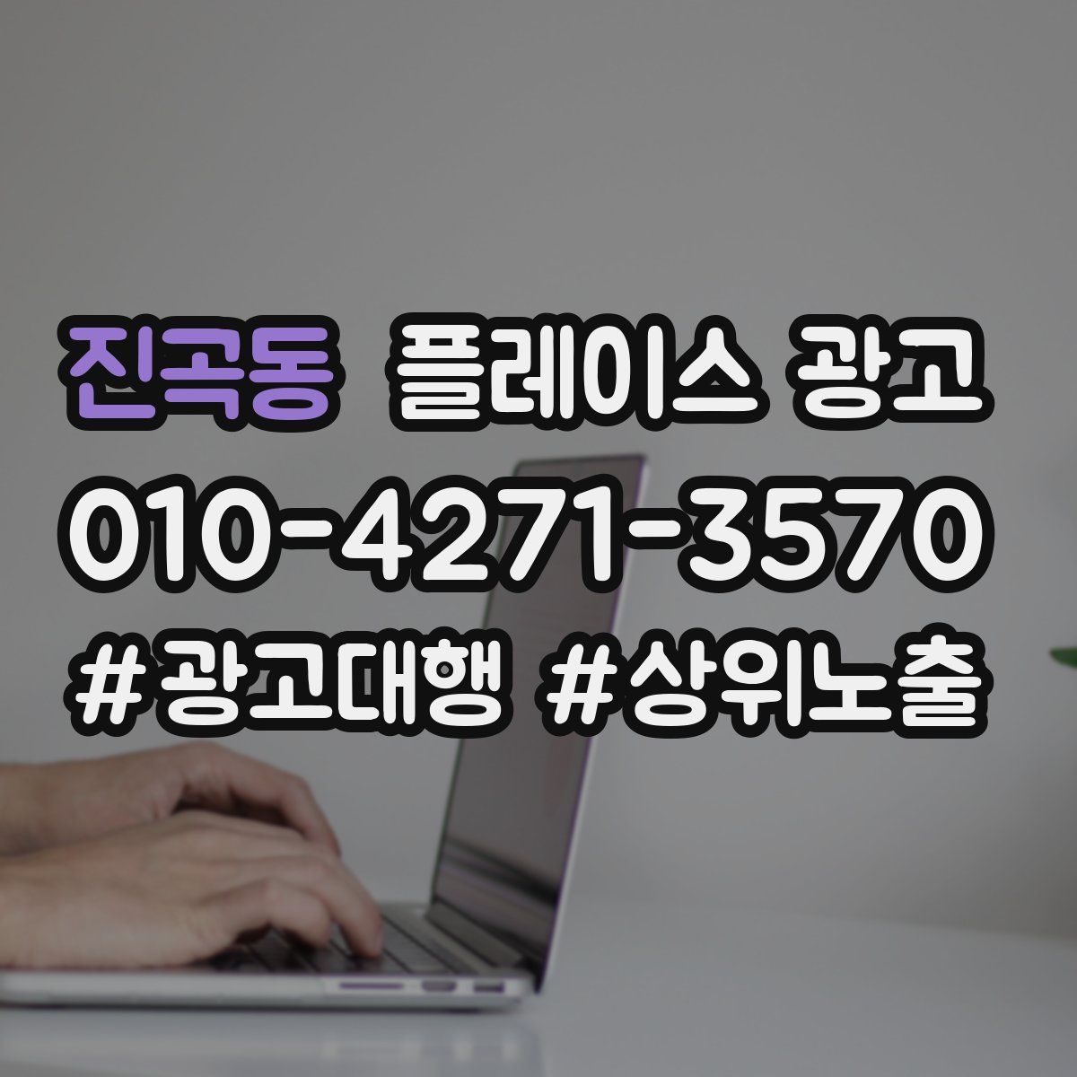 진곡동 플레이스 광고