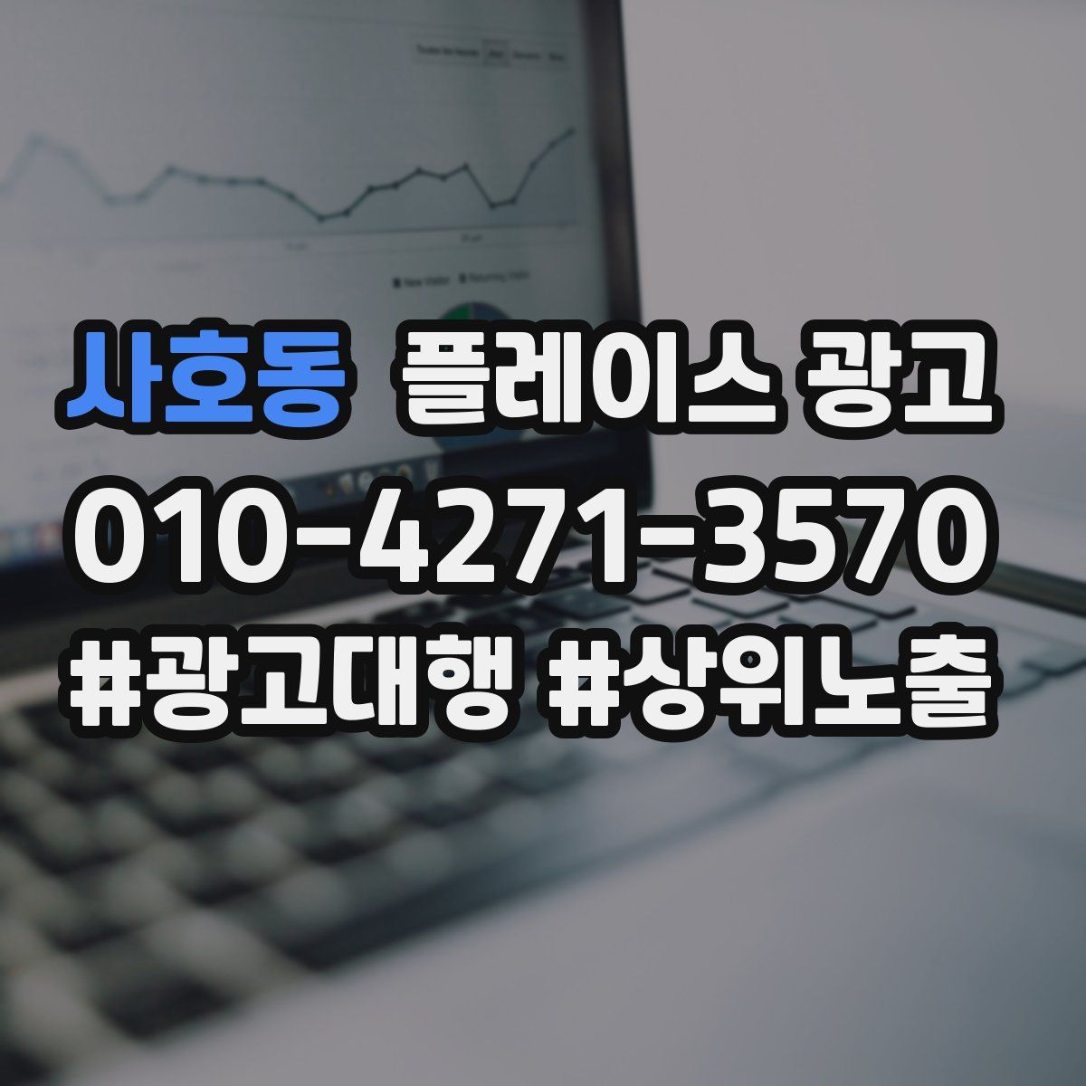 사호동 플레이스 광고