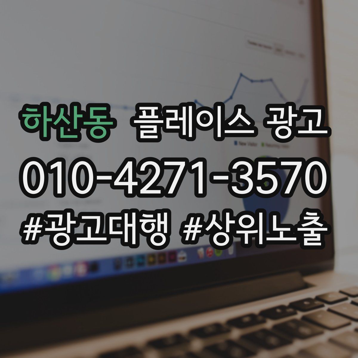하산동 플레이스 광고