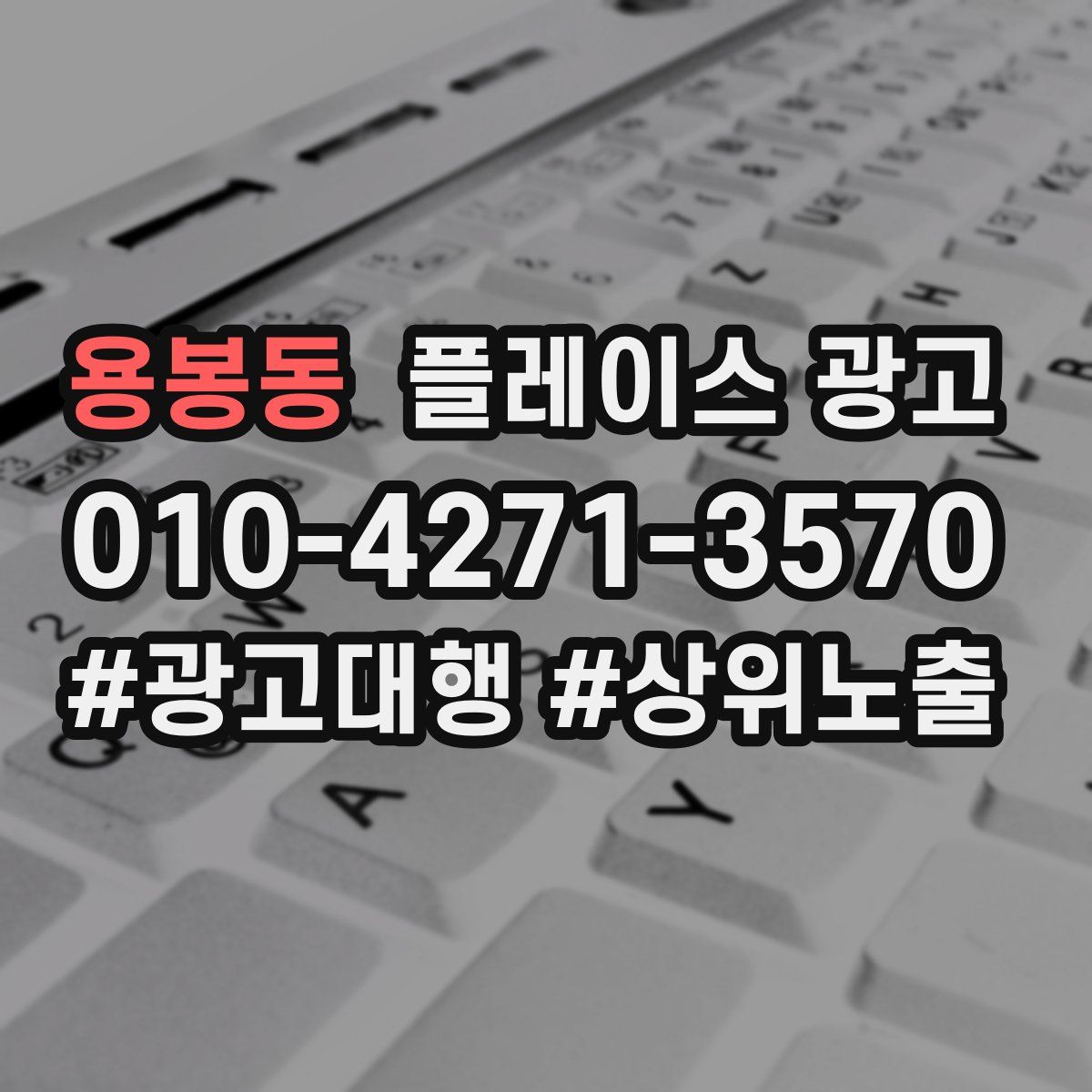 용봉동 플레이스 광고