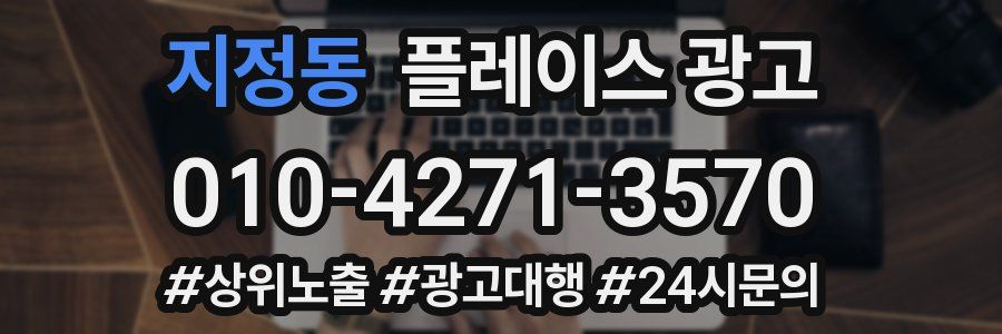 지정동 플레이스 광고
