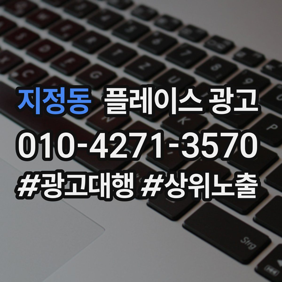 지정동 플레이스 광고