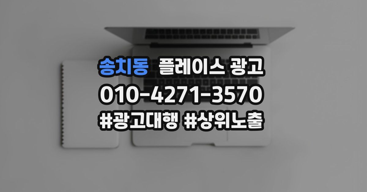 송치동 플레이스 광고