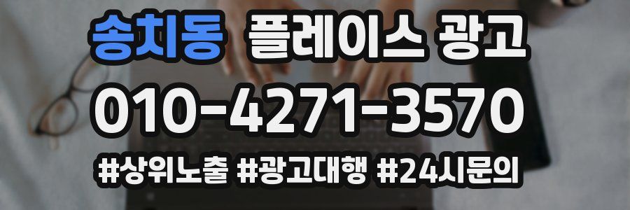 송치동 플레이스 광고