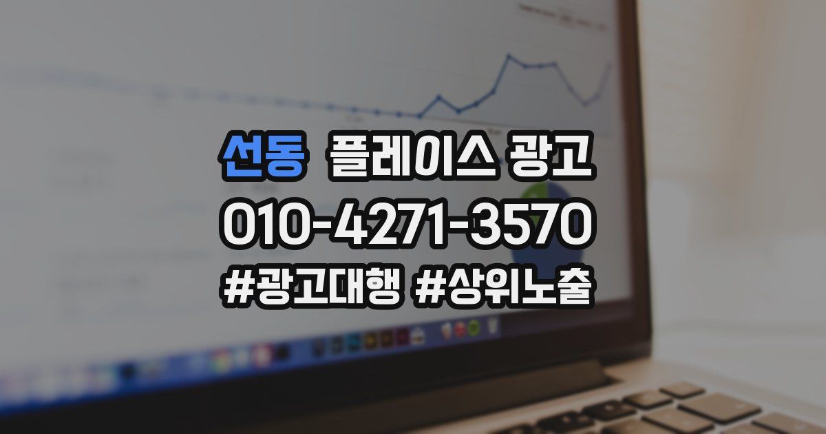 선동 플레이스 광고