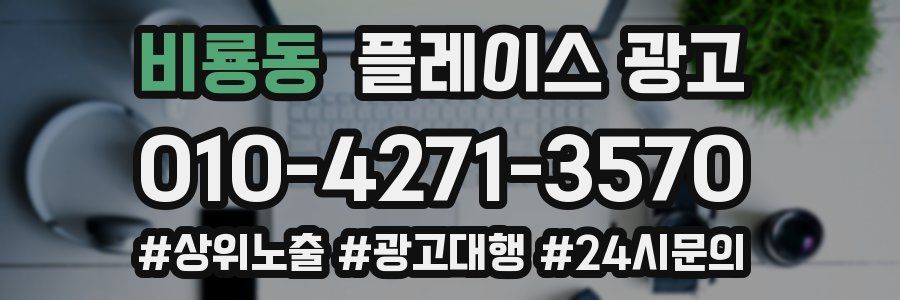 비룡동 플레이스 광고