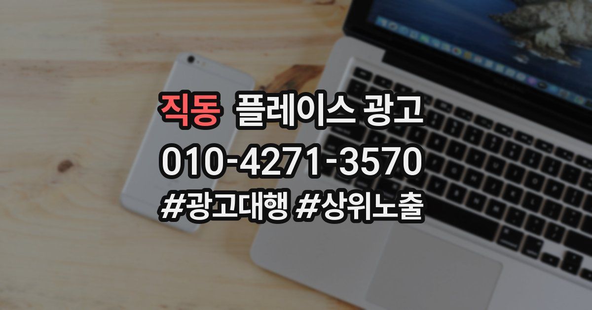 직동 플레이스 광고