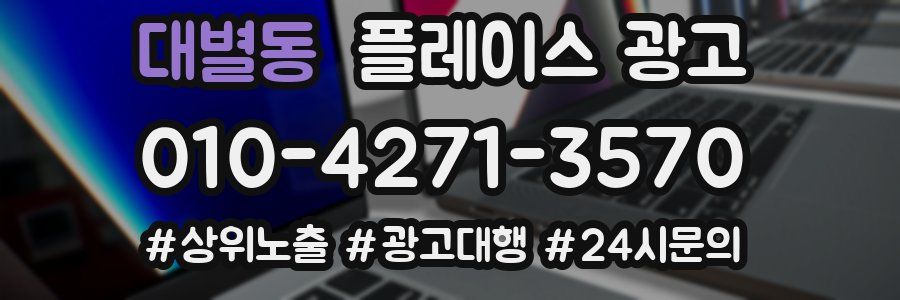 대별동 플레이스 광고