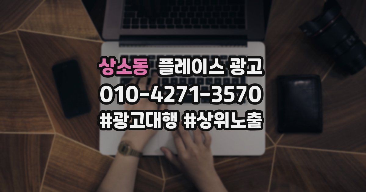 상소동 플레이스 광고