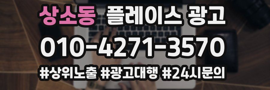 상소동 플레이스 광고