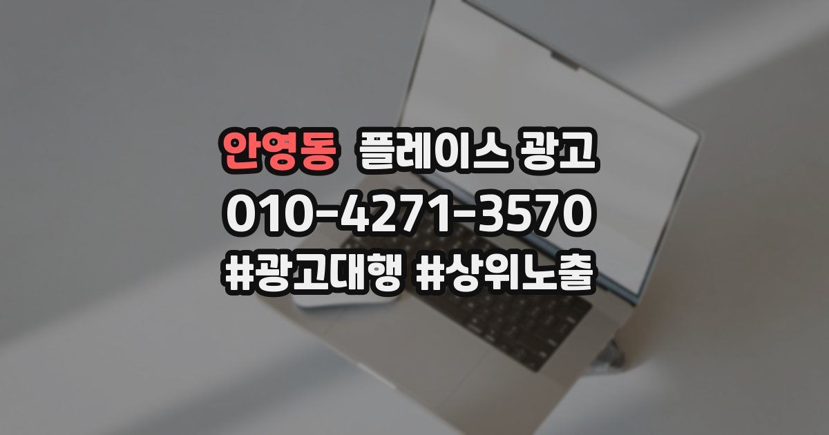 안영동 플레이스 광고