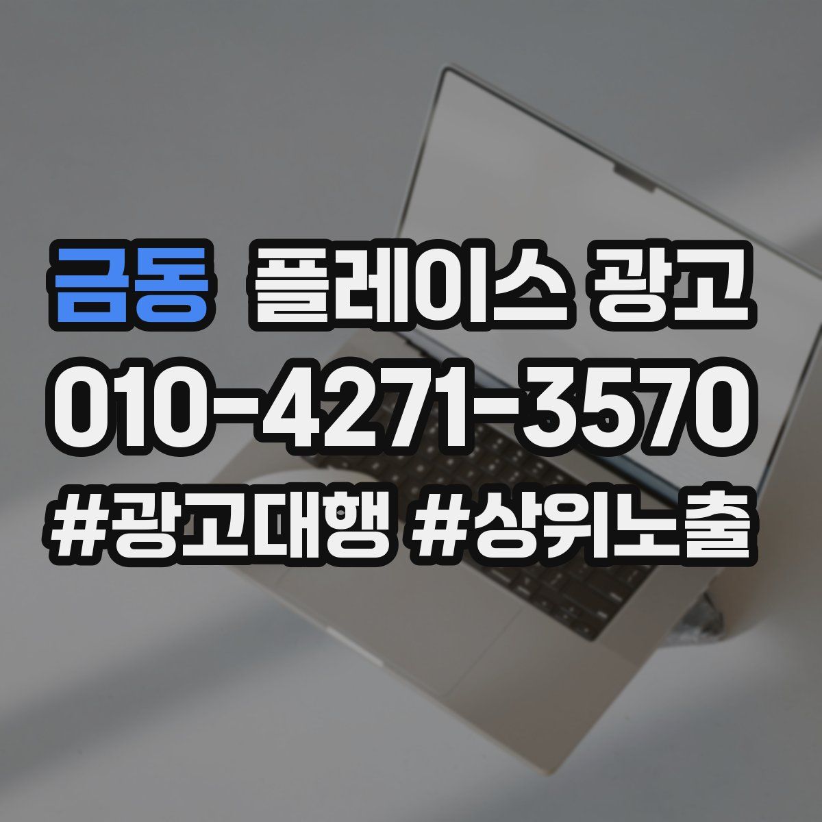 금동 플레이스 광고