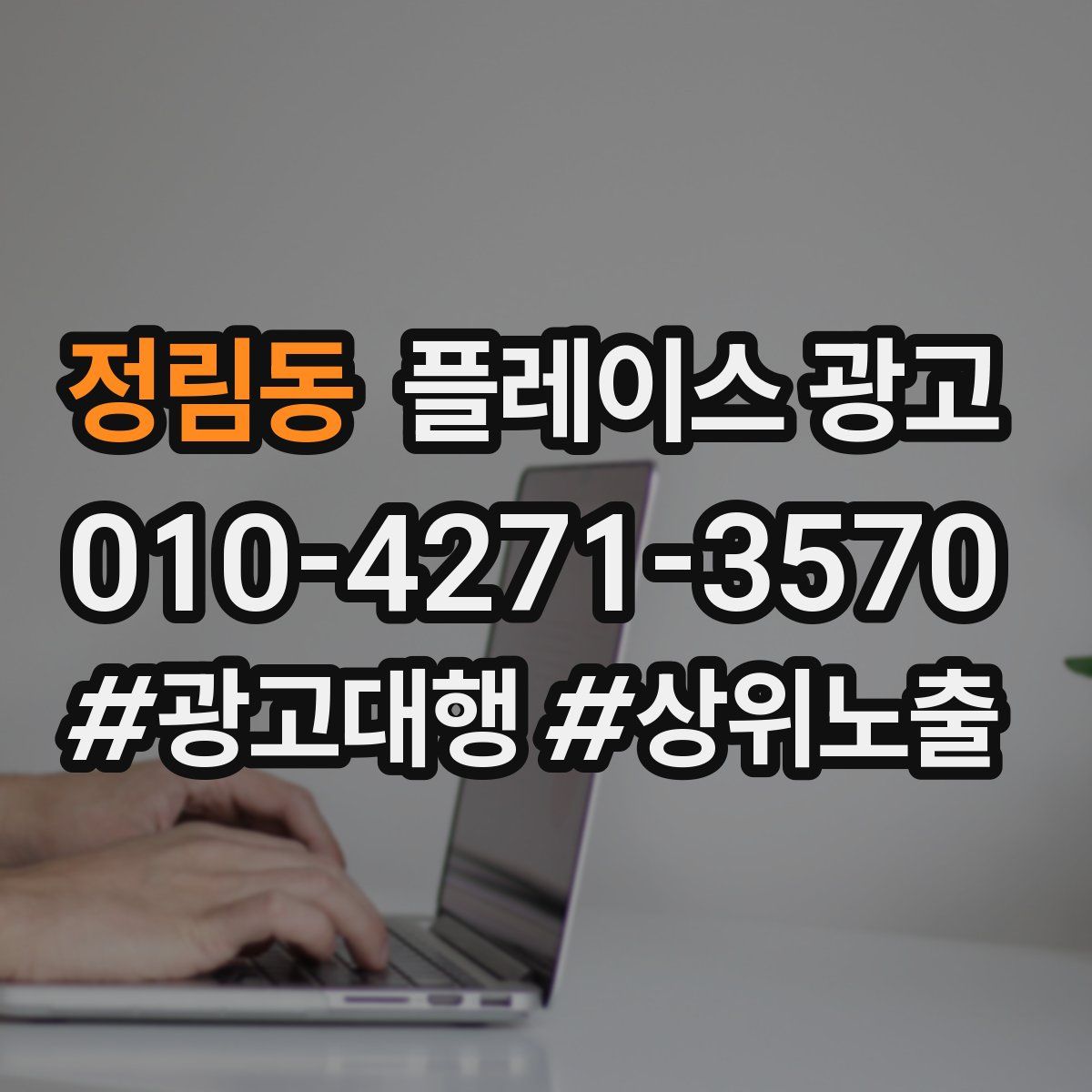 정림동 플레이스 광고