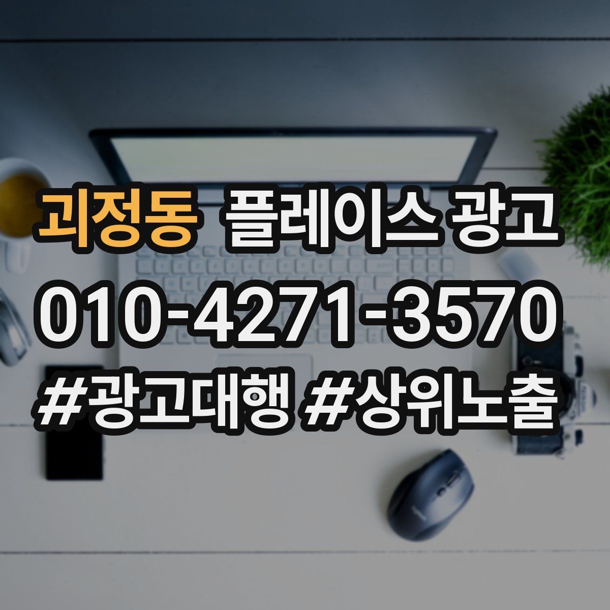 괴정동 플레이스 광고