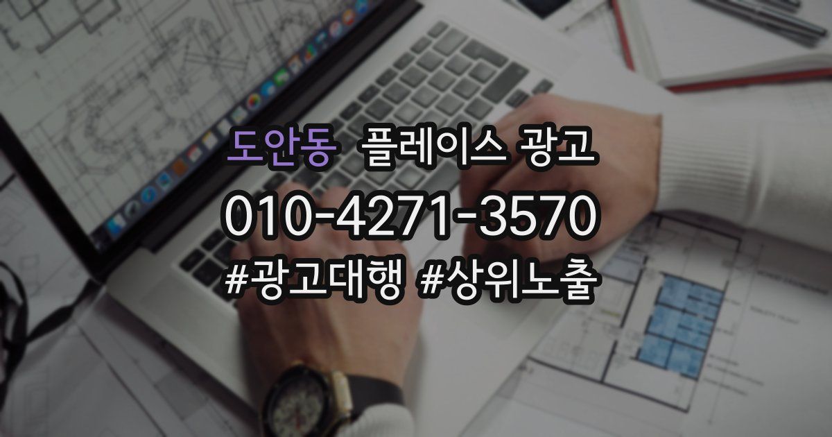 도안동 플레이스 광고