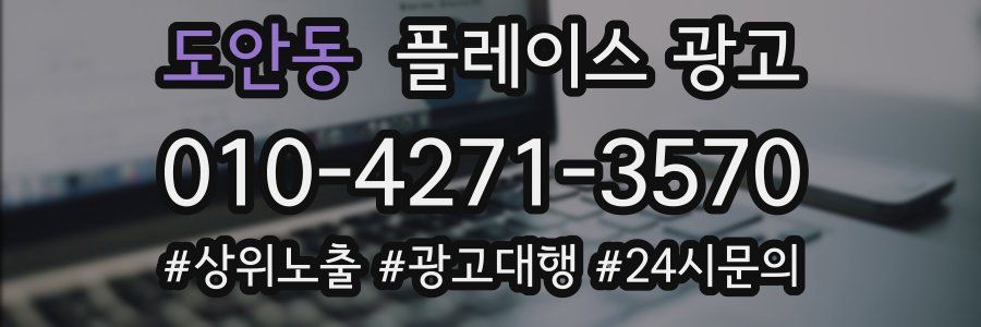 도안동 플레이스 광고
