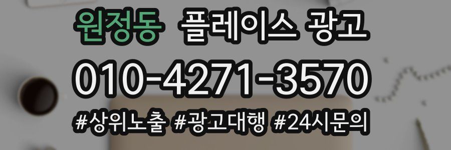 원정동 플레이스 광고