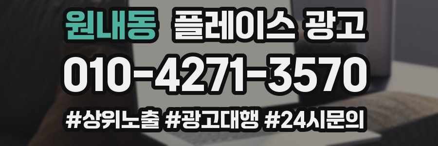 원내동 플레이스 광고