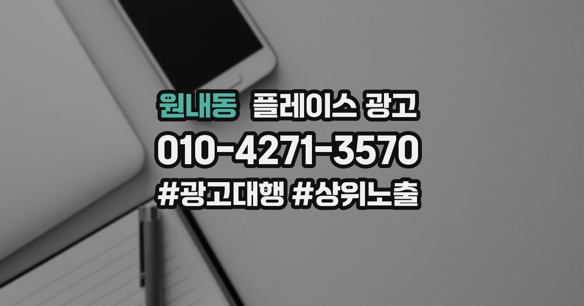 원내동 플레이스 광고