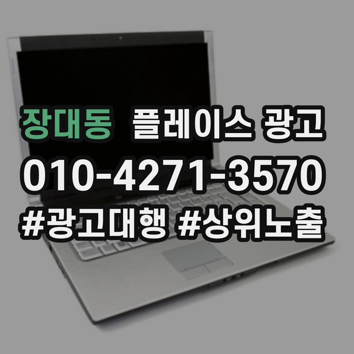 장대동 플레이스 광고