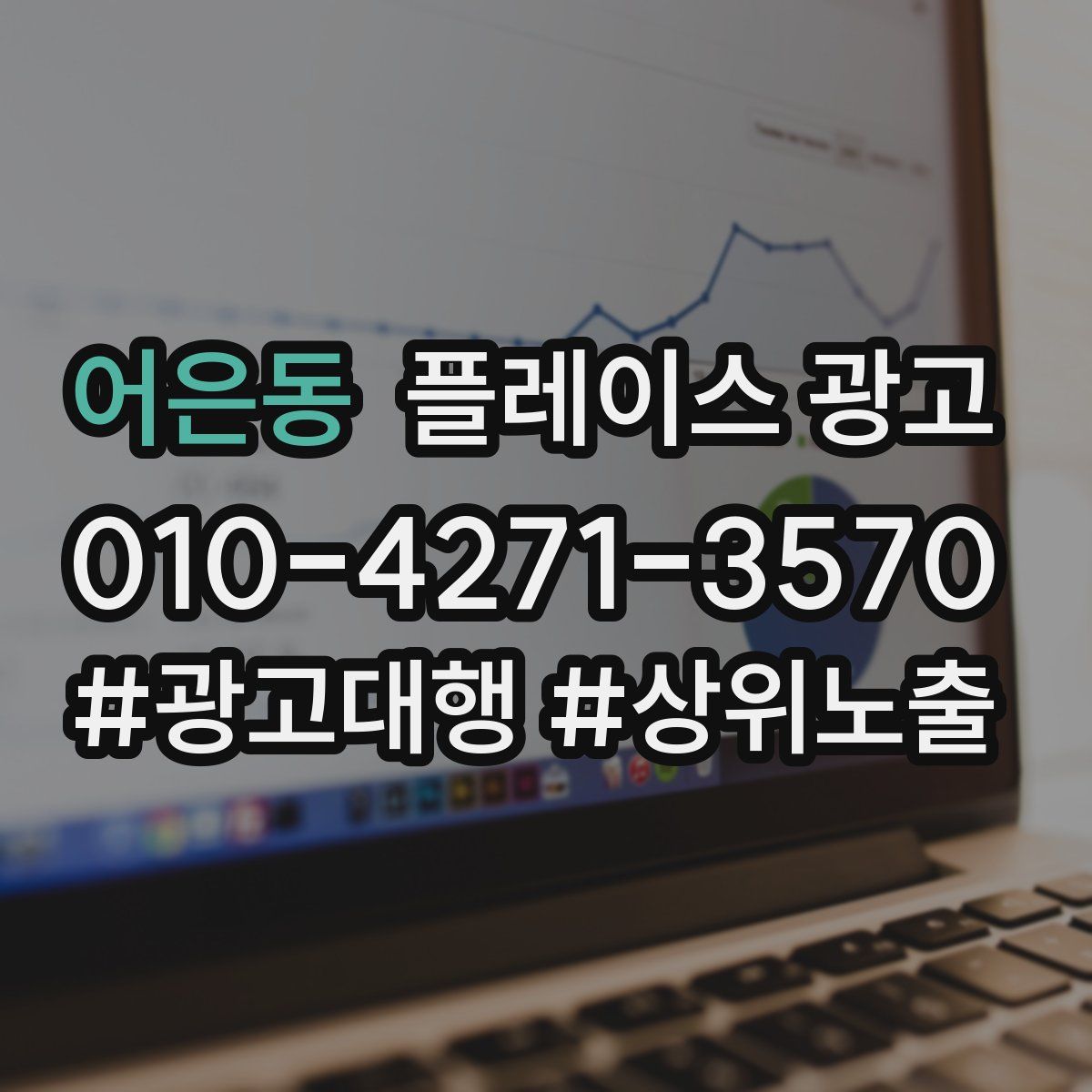 어은동 플레이스 광고