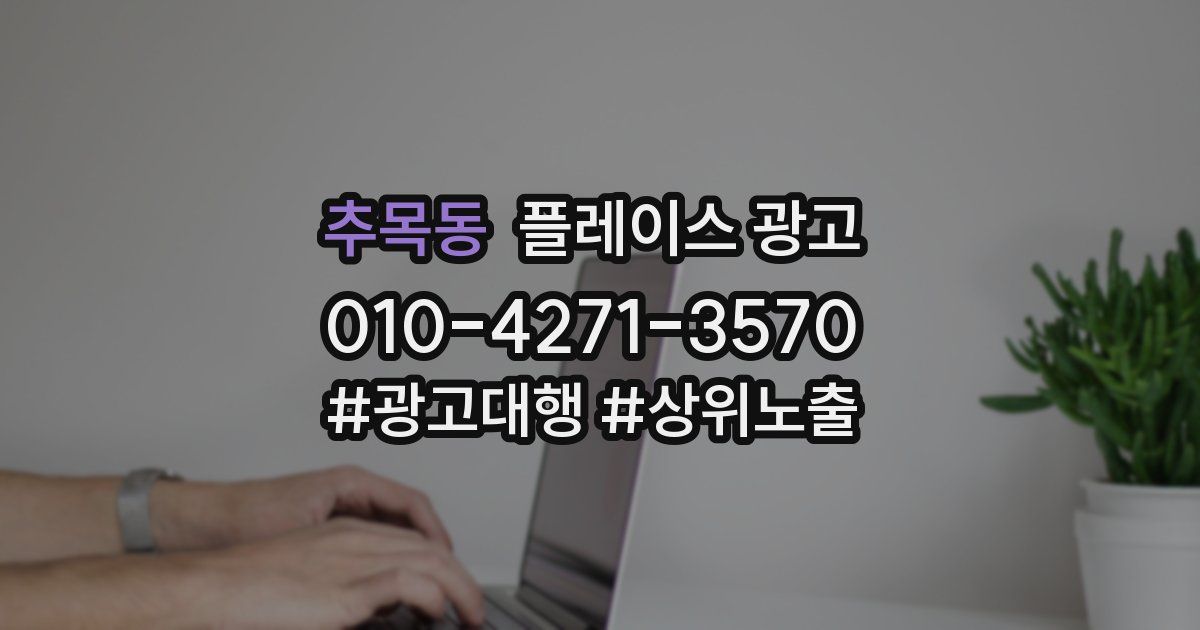 추목동 플레이스 광고