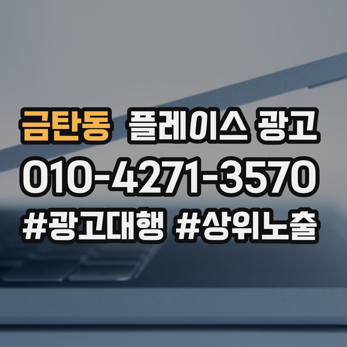 금탄동 플레이스 광고