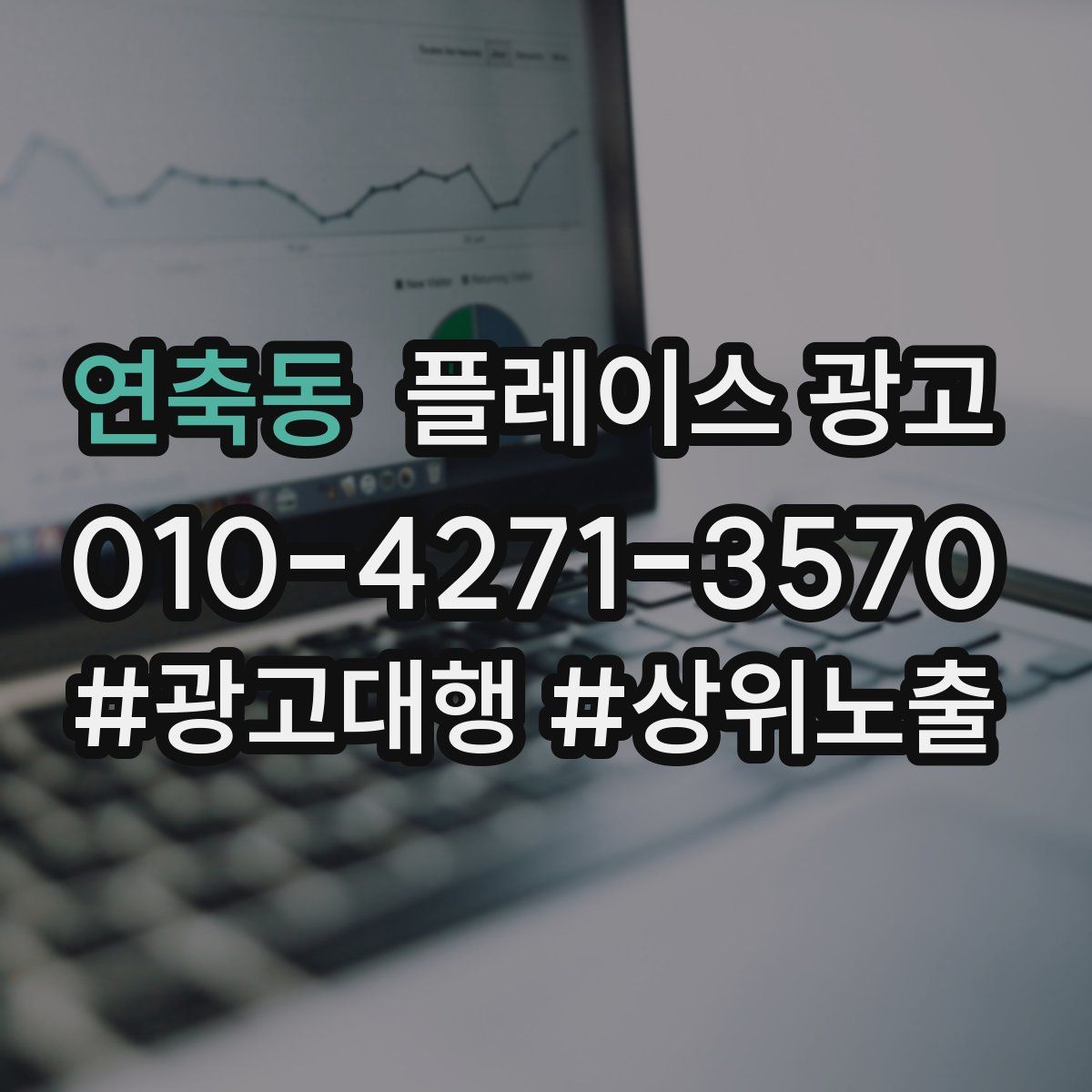 연축동 플레이스 광고