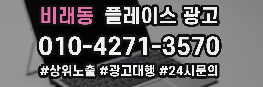 비래동 플레이스 광고