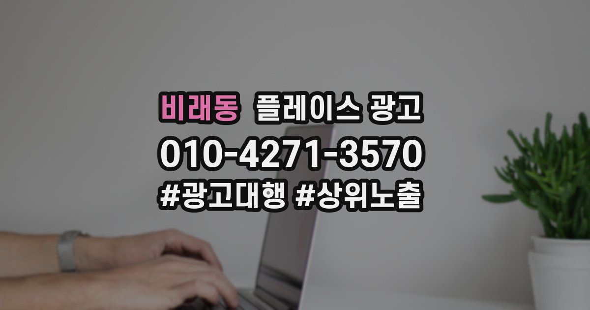 비래동 플레이스 광고
