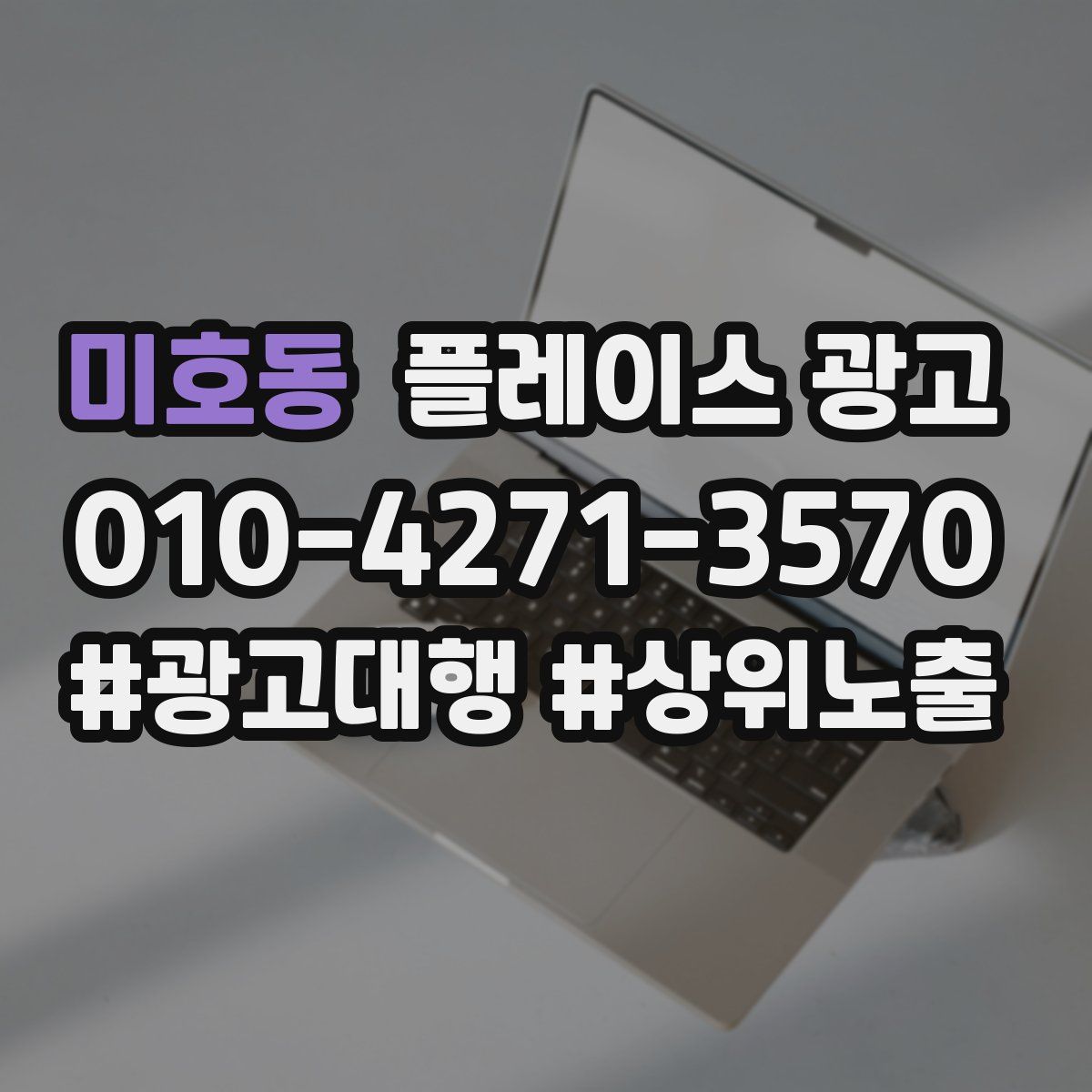 미호동 플레이스 광고