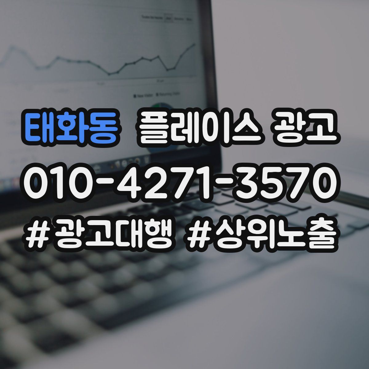 태화동 플레이스 광고