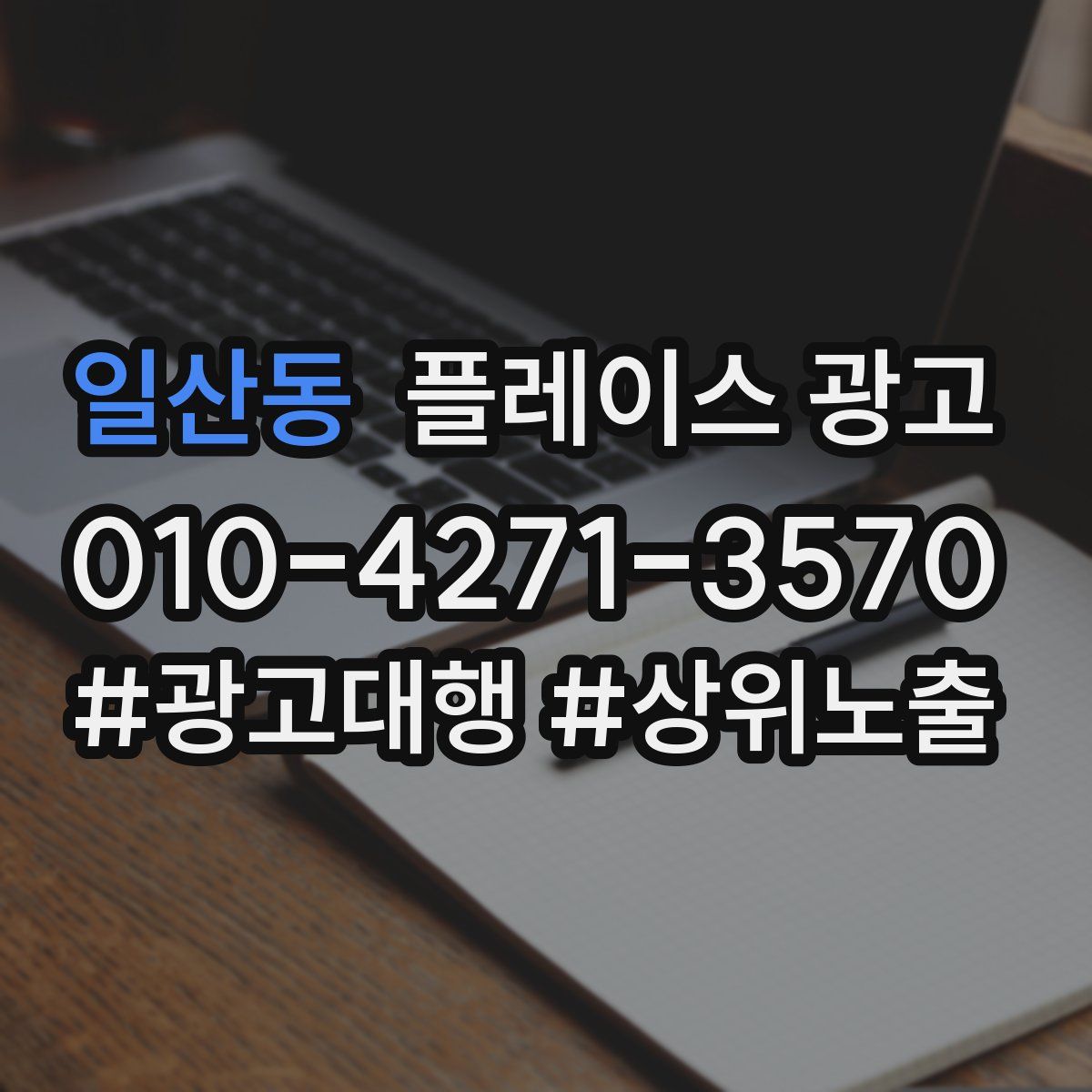 일산동 플레이스 광고