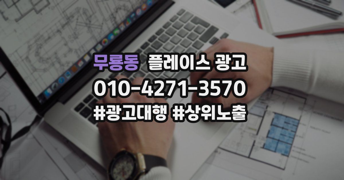 무룡동 플레이스 광고