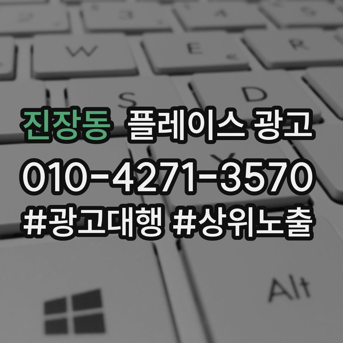 진장동 플레이스 광고