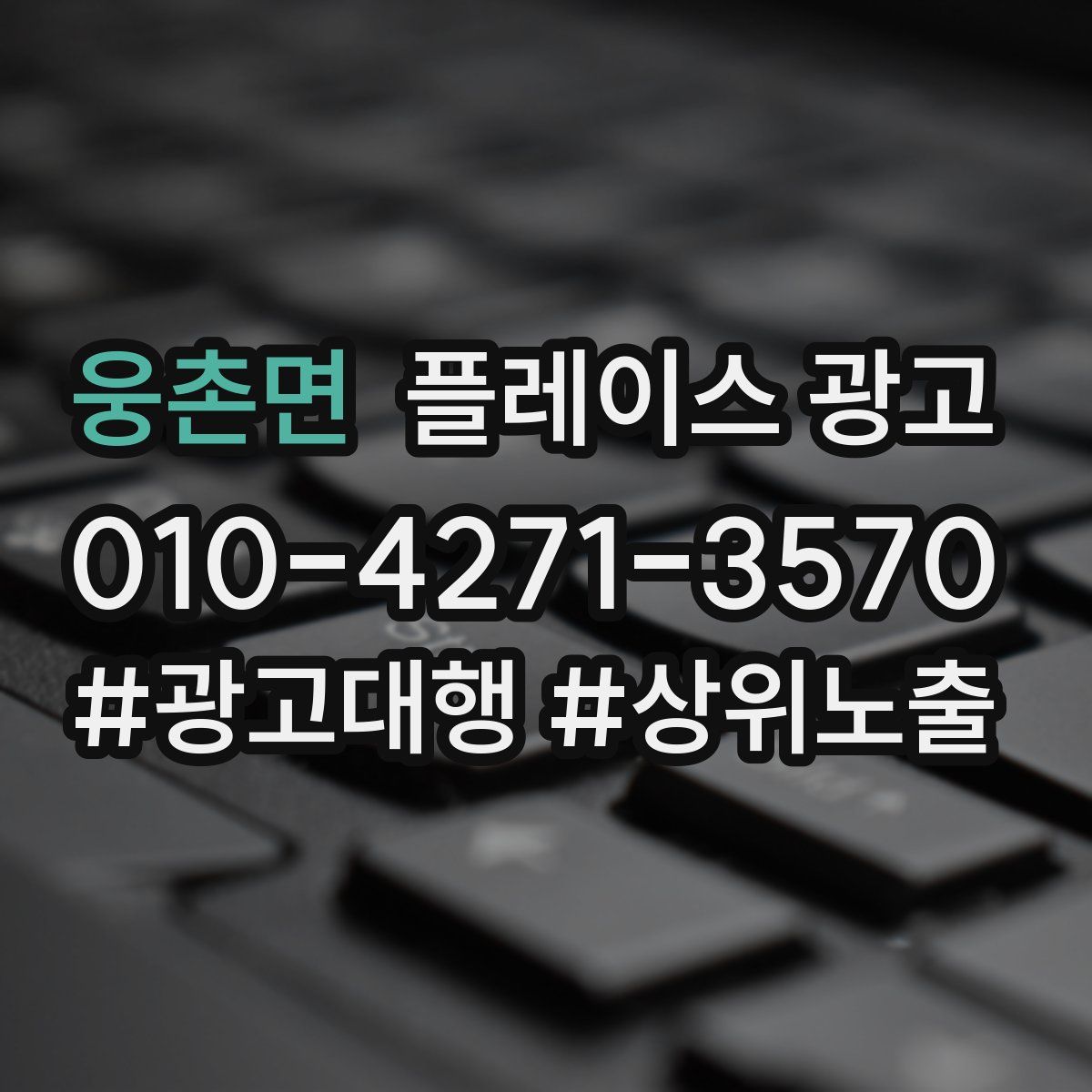 웅촌면 플레이스 광고