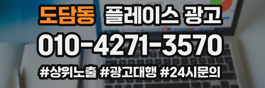 도담동 플레이스 광고