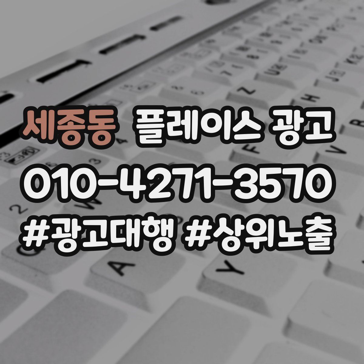 세종동 플레이스 광고