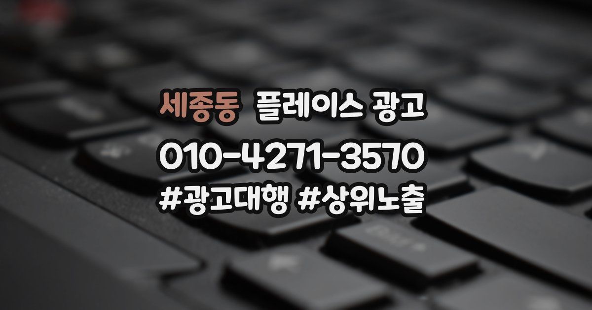세종동 플레이스 광고