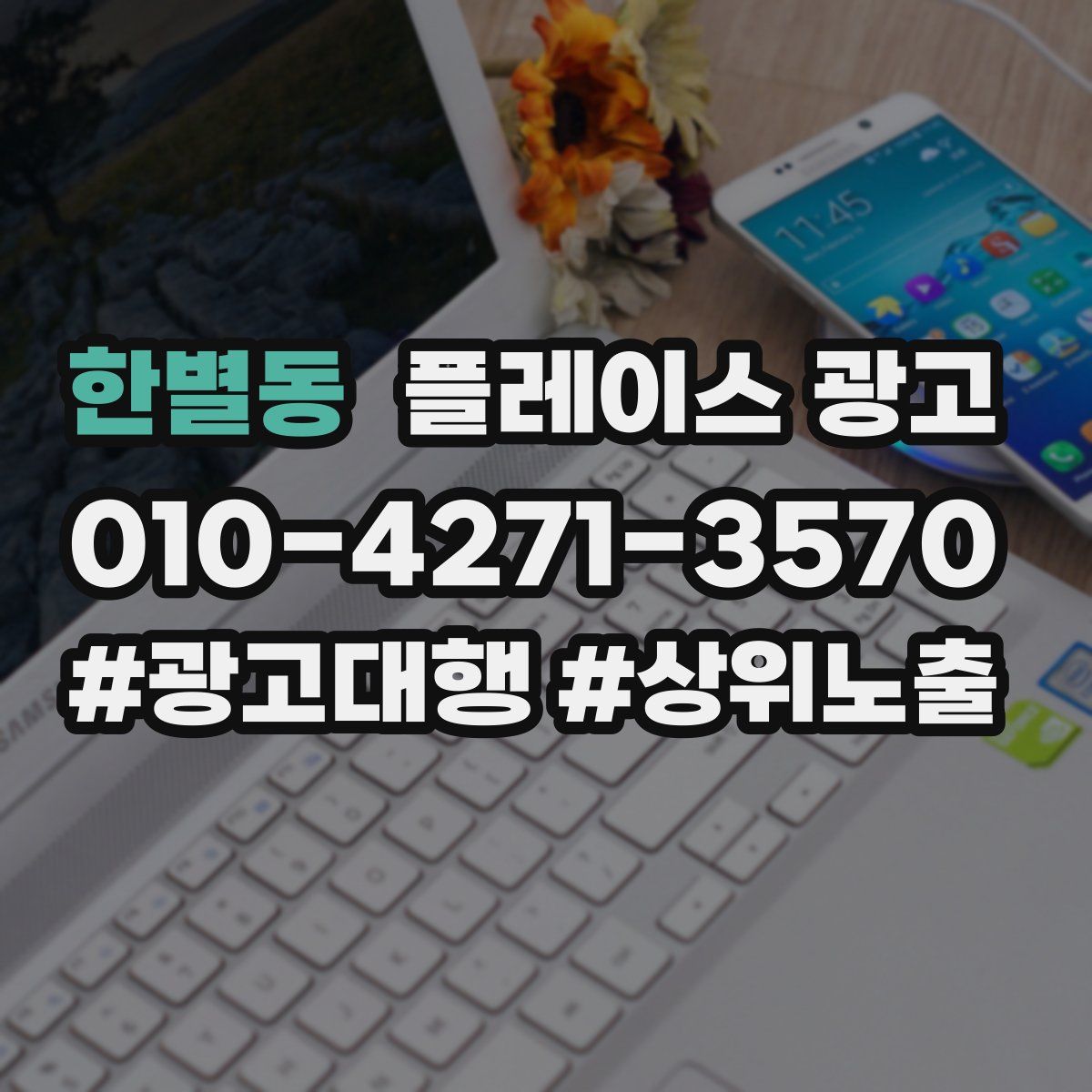 한별동 플레이스 광고