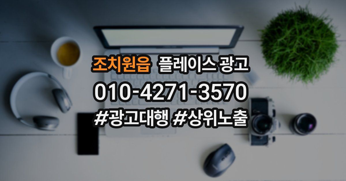 조치원읍 플레이스 광고