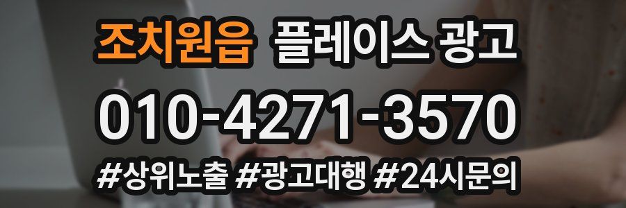 조치원읍 플레이스 광고