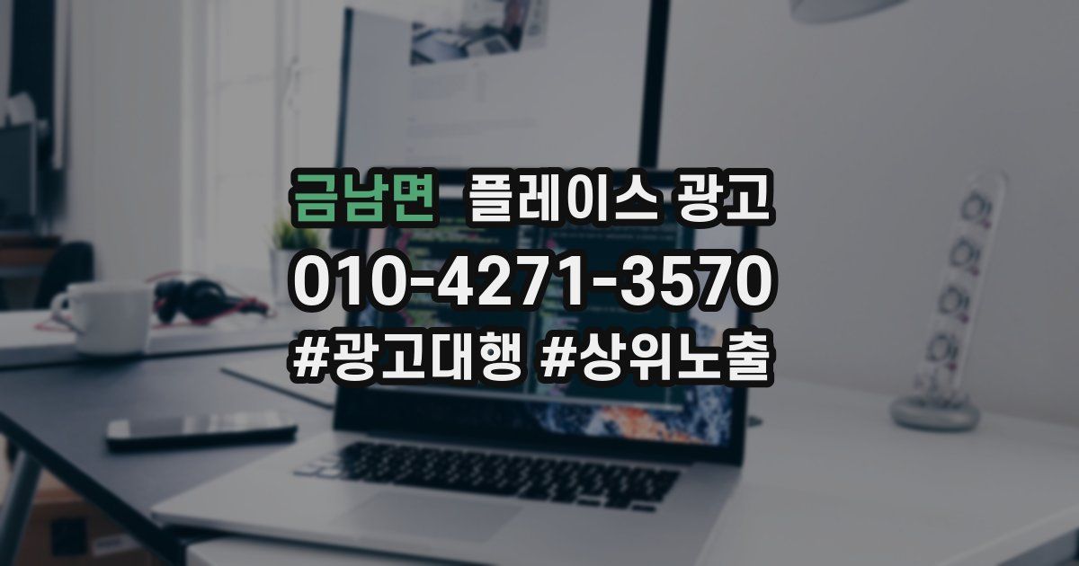 금남면 플레이스 광고